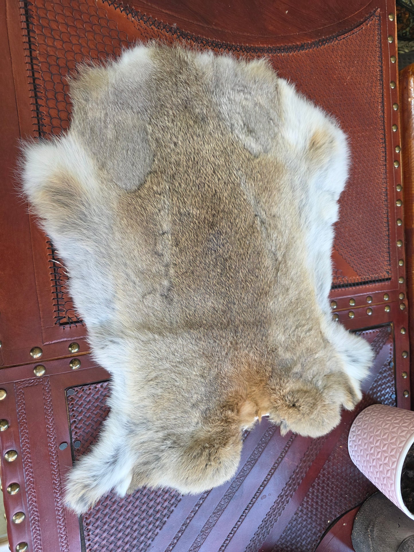 Rabbit Pelt